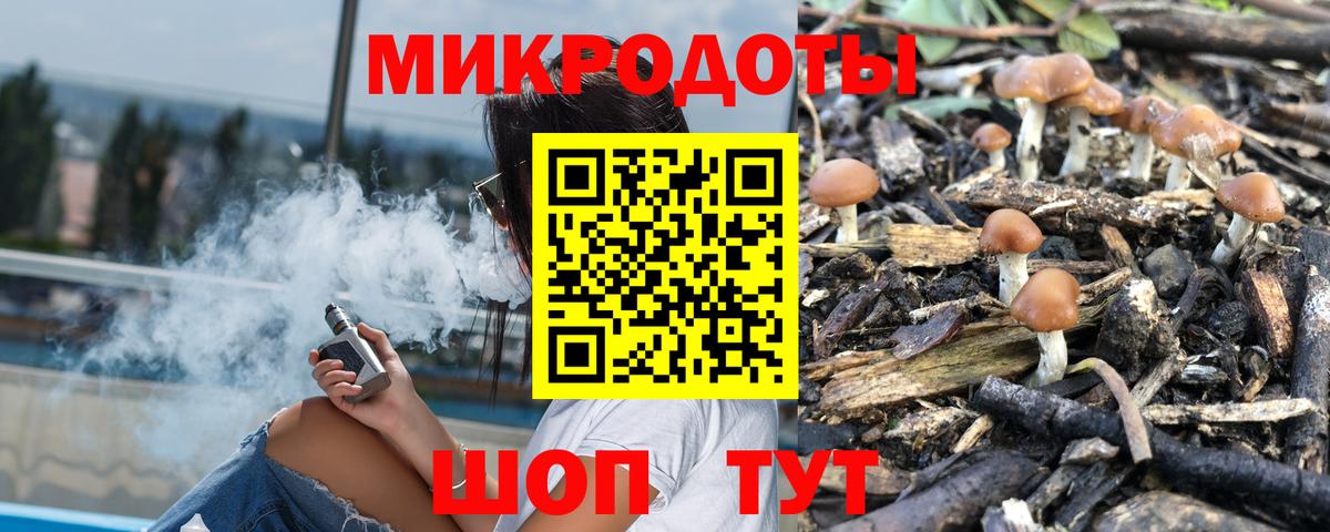 Псилоцибиновые грибы Psilocybe  Вход с VPN  Павлово  Галлюциногенные грибы Psilocybe 